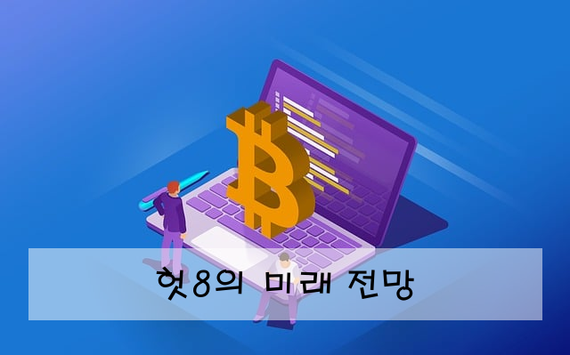 헛8의 미래 전망