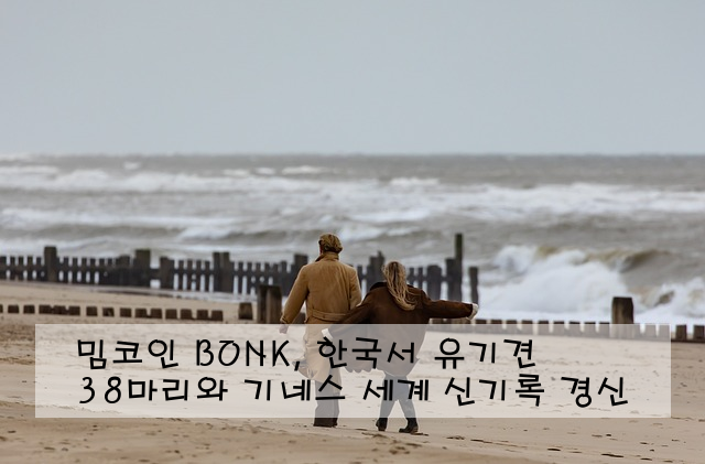 밈코인 BONK, 한국서 유기견 38마리와 기네스 세계 신기록 경신