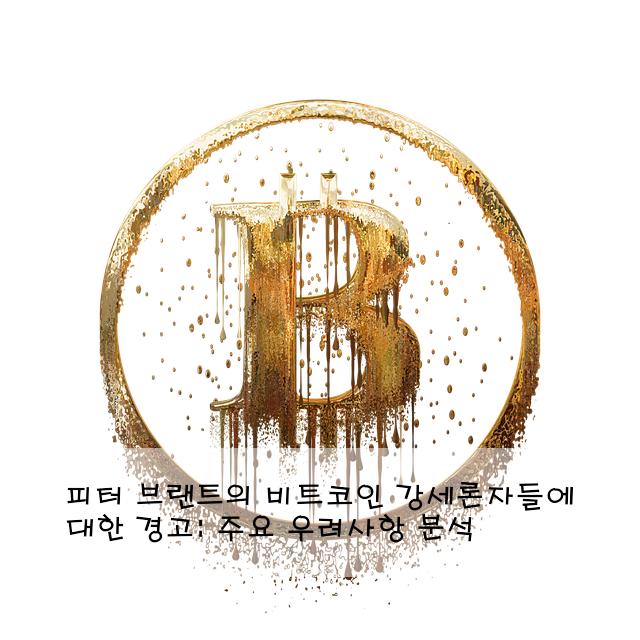피터 브랜트의 비트코인 강세론자들에 대한 경고: 주요 우려사항 분석