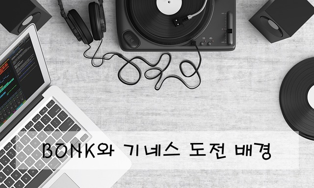 BONK와 기네스 도전 배경