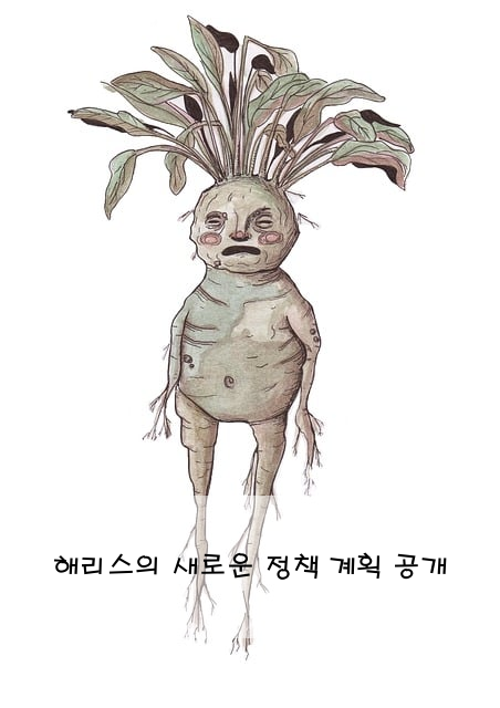 해리스의 새로운 정책 계획 공개