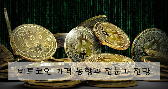 비트코인 가격 동향과 전문가 전망