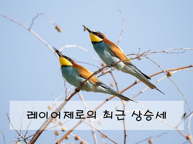 레이어제로의 최근 상승세