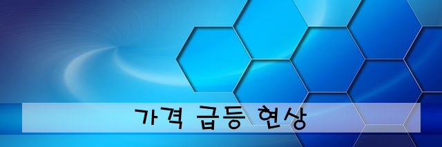 가격 급등 현상