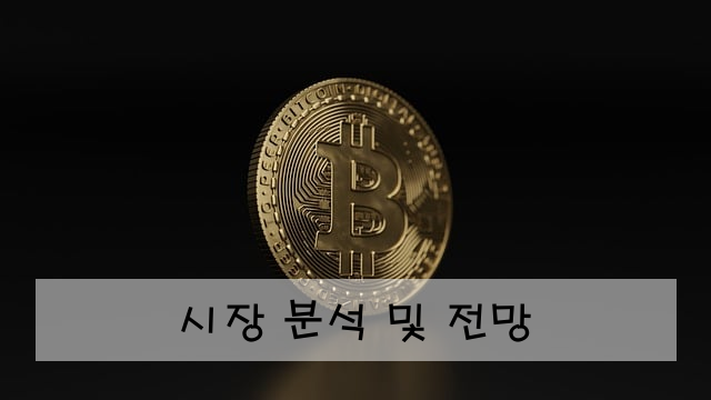 시장 분석 및 전망