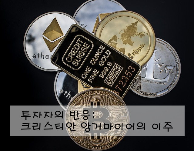 투자자의 반응: 크리스티안 앙거마이어의 이주