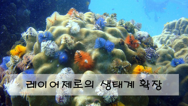 레이어제로의 생태계 확장