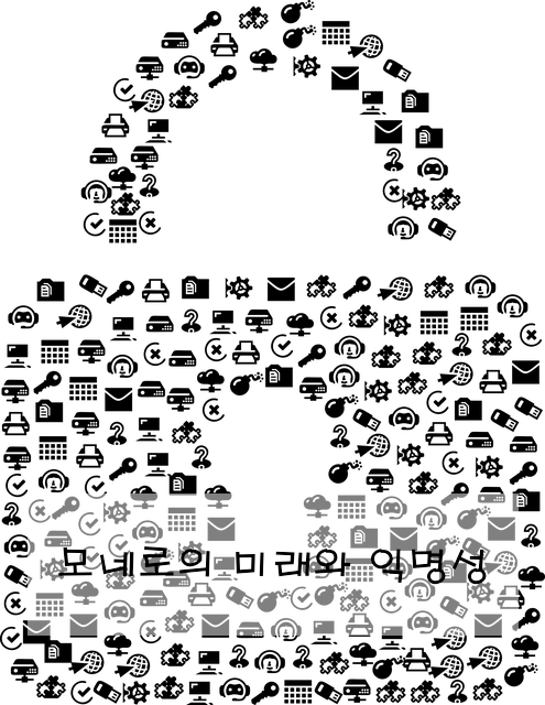 모네로의 미래와 익명성