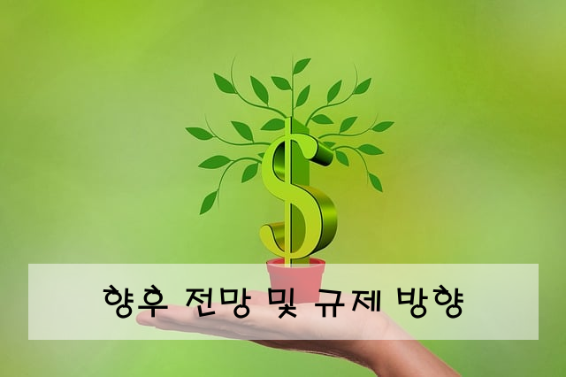 향후 전망 및 규제 방향