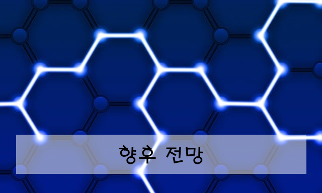 향후 전망