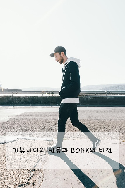 커뮤니티의 반응과 BONK의 비전