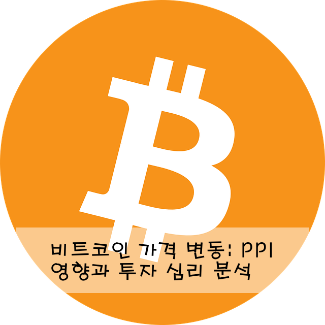 비트코인 가격 변동: PPI 영향과 투자 심리 분석