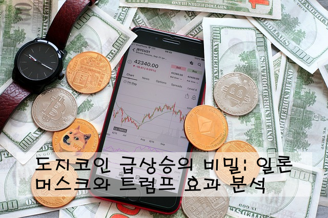 도지코인 급상승의 비밀: 일론 머스크와 트럼프 효과 분석