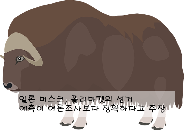 일론 머스크, 폴리마켓의 선거 예측이 여론조사보다 정확하다고 주장