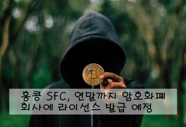 홍콩 SFC, 연말까지 암호화폐 회사에 라이선스 발급 예정