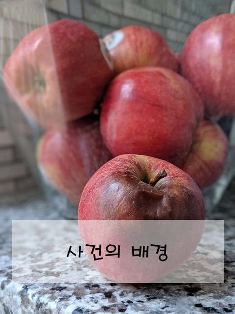 사건의 배경