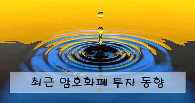 최근 암호화폐 투자 동향