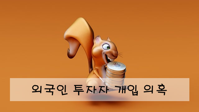 외국인 투자자 개입 의혹