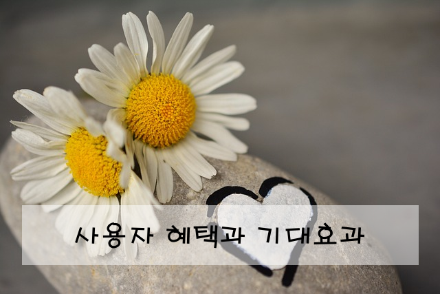 사용자 혜택과 기대효과