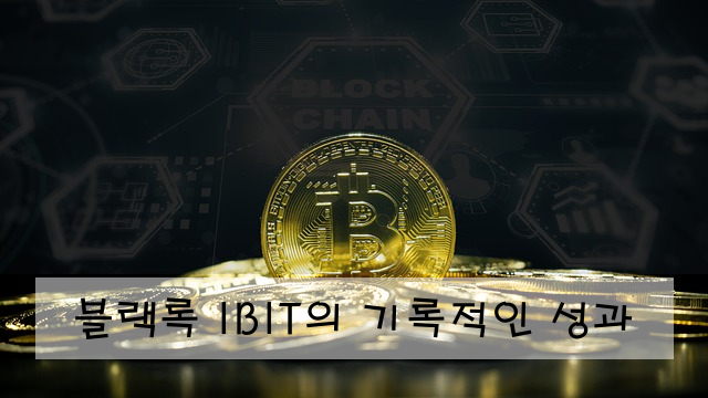 블랙록 IBIT의 기록적인 성과