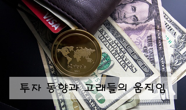 투자 동향과 고래들의 움직임