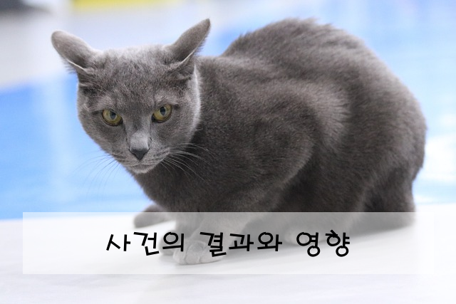 사건의 결과와 영향