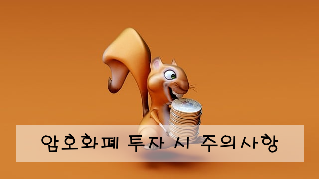 암호화폐 투자 시 주의사항