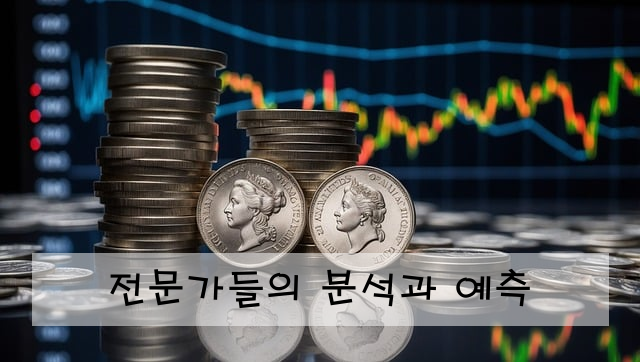 전문가들의 분석과 예측