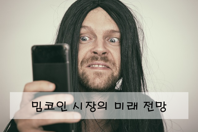 밈코인 시장의 미래 전망