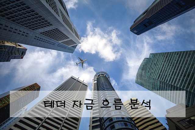 테더 자금 흐름 분석