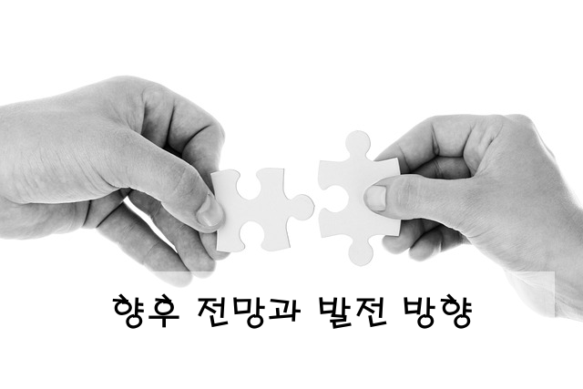 향후 전망과 발전 방향