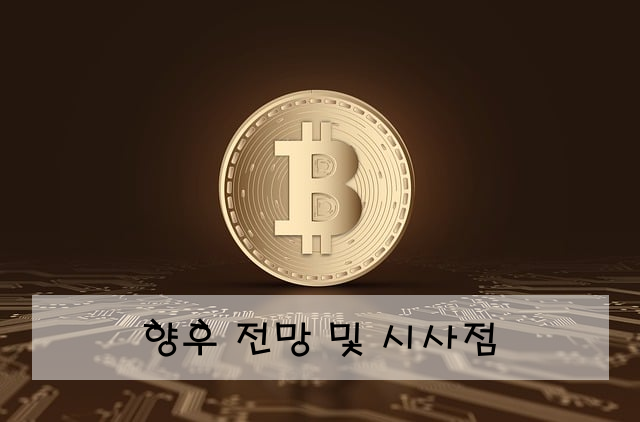 향후 전망 및 시사점