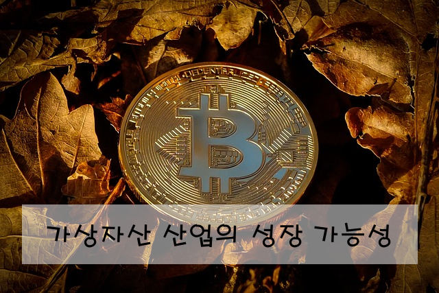 가상자산 산업의 성장 가능성