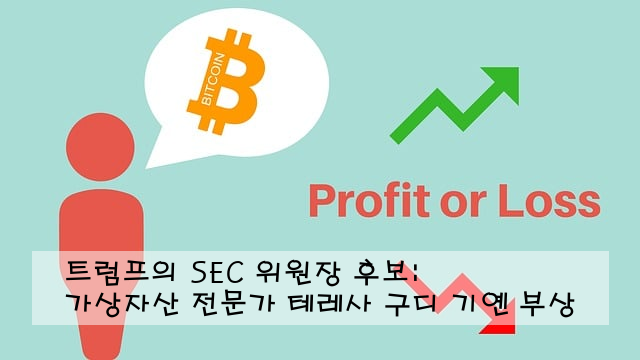 트럼프의 SEC 위원장 후보: 가상자산 전문가 테레사 구디 기옌 부상