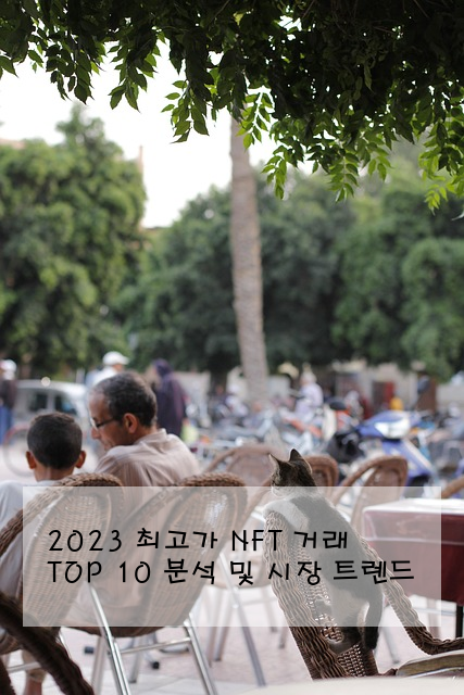 2023 최고가 NFT 거래 TOP 10 분석 및 시장 트렌드