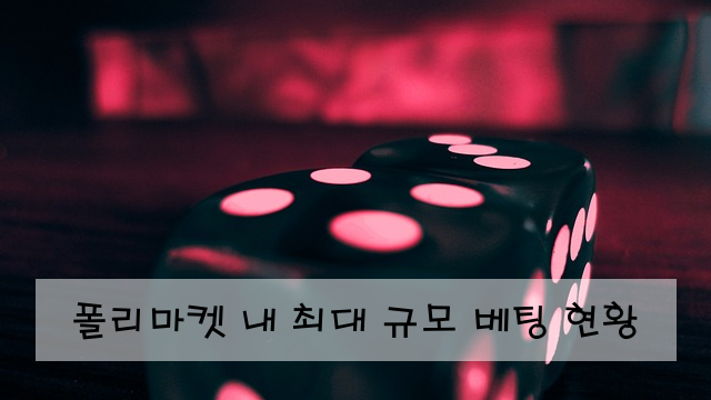 폴리마켓 내 최대 규모 베팅 현황