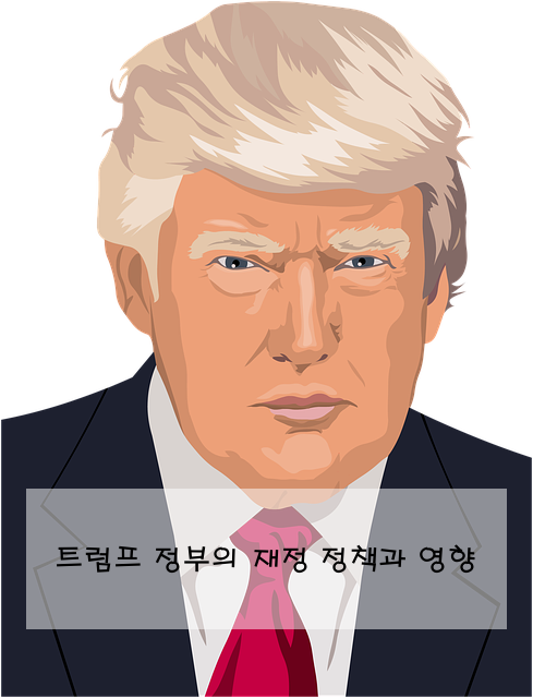 트럼프 정부의 재정 정책과 영향