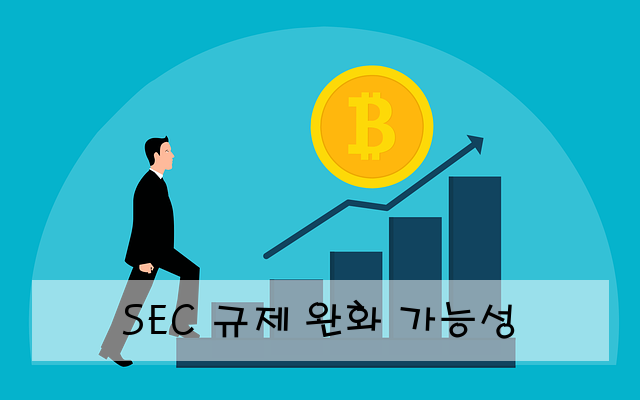 SEC 규제 완화 가능성