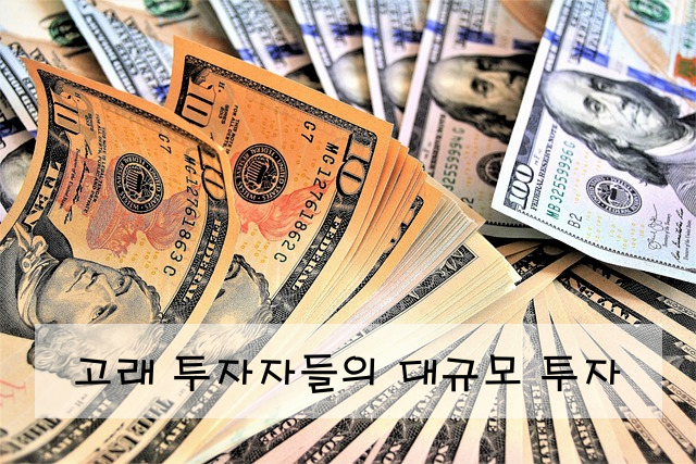 고래 투자자들의 대규모 투자