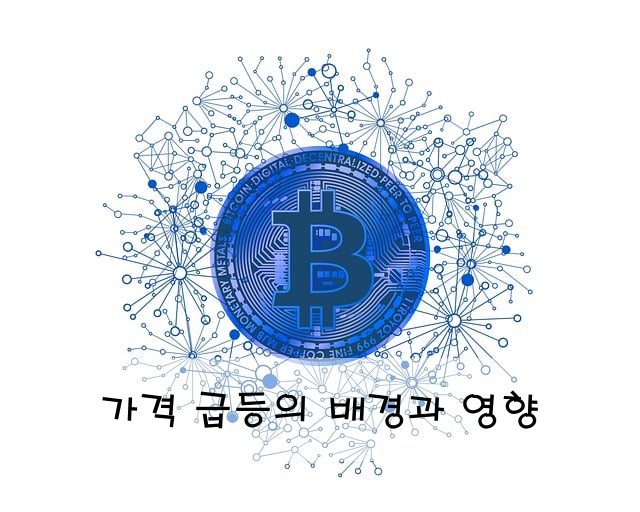 가격 급등의 배경과 영향