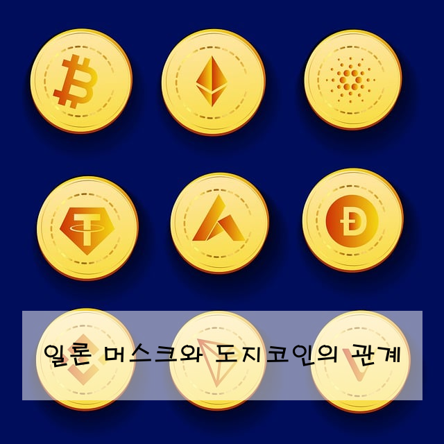 일론 머스크와 도지코인의 관계