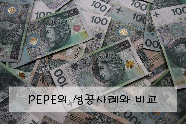 PEPE의 성공사례와 비교