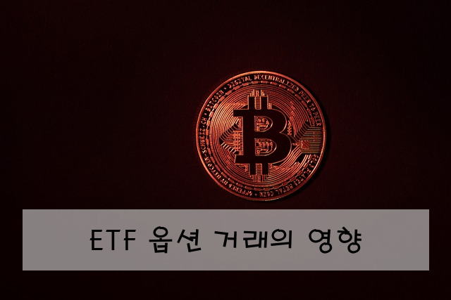 ETF 옵션 거래의 영향