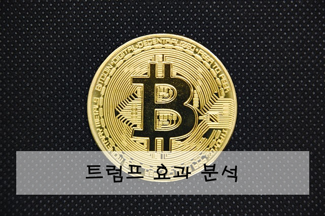 트럼프 효과 분석