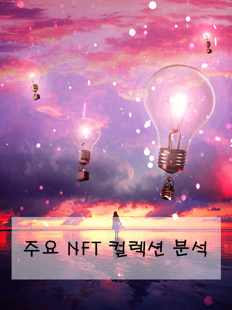 주요 NFT 컬렉션 분석