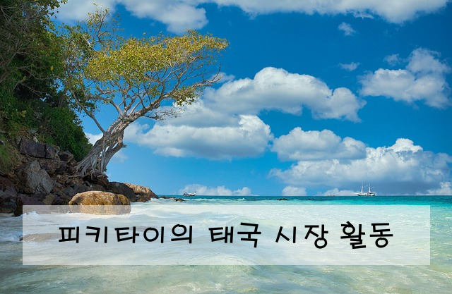 피키타이의 태국 시장 활동