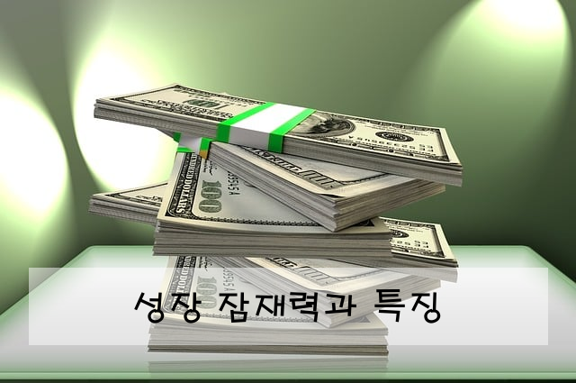 성장 잠재력과 특징