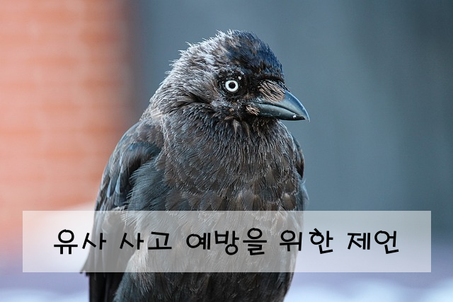 유사 사고 예방을 위한 제언