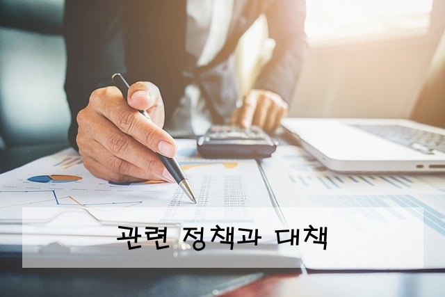 관련 정책과 대책