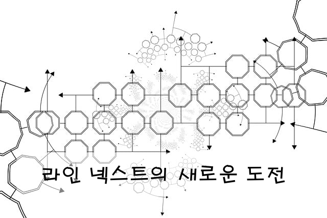 라인 넥스트의 새로운 도전